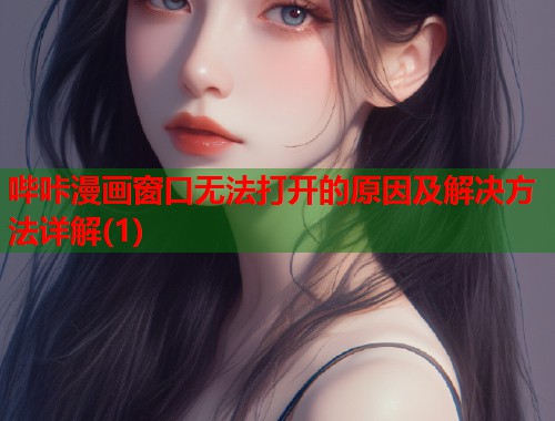 哔咔漫画窗口无法打开的原因及解决方法详解(1)